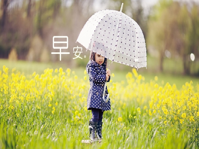 李先生夫妇成功案例